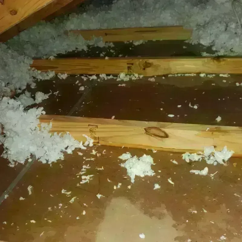 Attic Water Damage in Urbana, IL