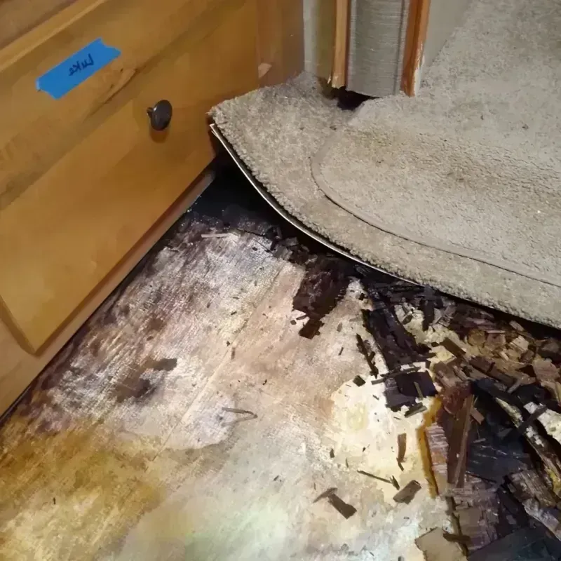 Best Wood Floor Water Damage Service in Urbana, IL